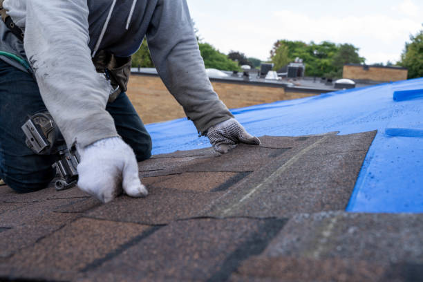 Best Solar Panel Roofing Installation  in Lowellville, OH